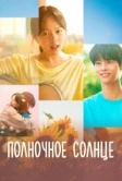 Полночное солнце (2025)