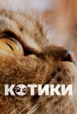 Котики (2022)